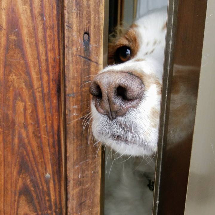 9a4a3988 c963 465c 84e6 1c0b82de0188 1562801900706