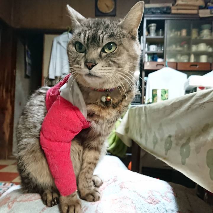 9a4a5349 dced 4321 a9cc 121e092630c2 1586725046396