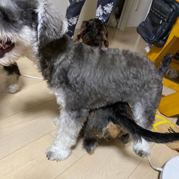 9a4a59a4 a58e 4eeb 9910 41bac91e516f 1569763448059