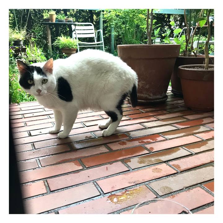 9a4a6088 9a40 45d0 913b 55eeb09f44d0 1653291099789