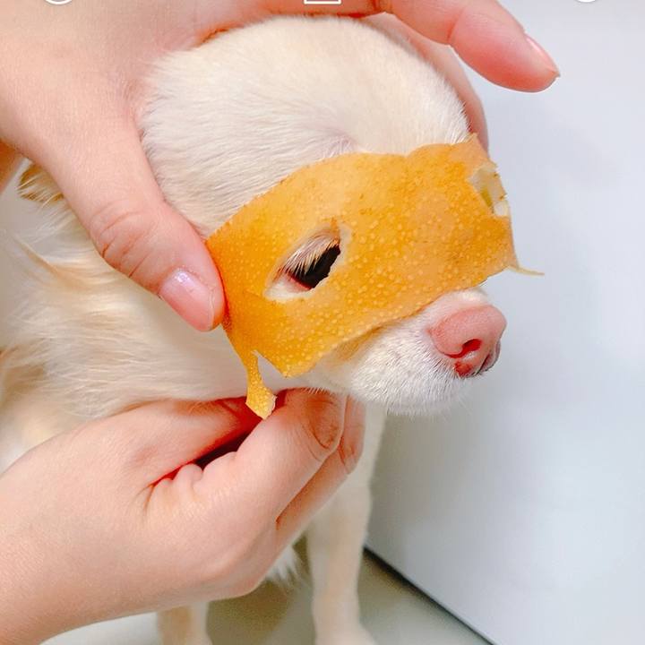 9a4ab27e e375 4b10 99bb 660636c523b7 1636875062032