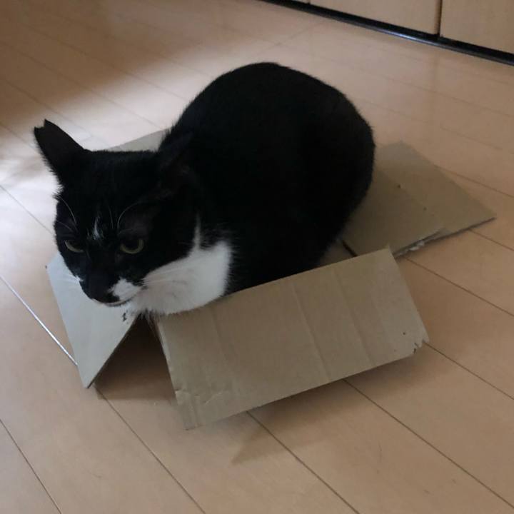 9a4ad9fe d7ec 4b4e b137 c45e13cf1d5a 1563446206905