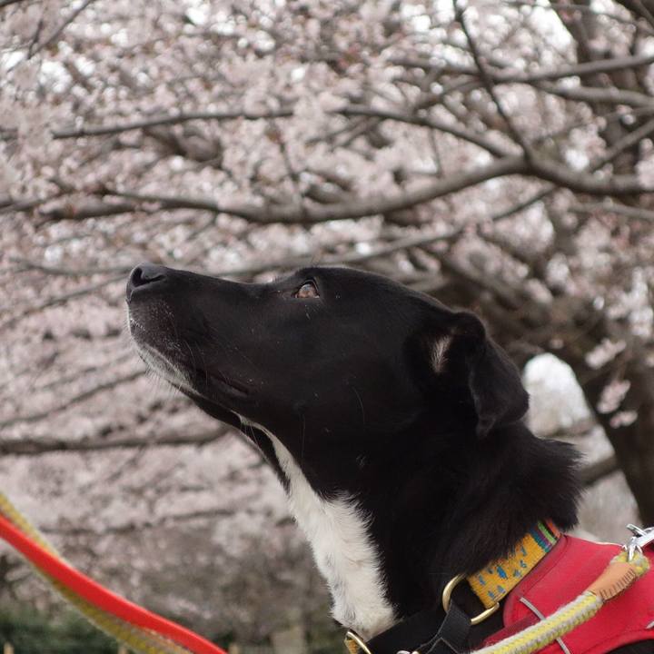 9a4ae97d 7bde 48db 8d97 5702bfe8edff 1584923618542