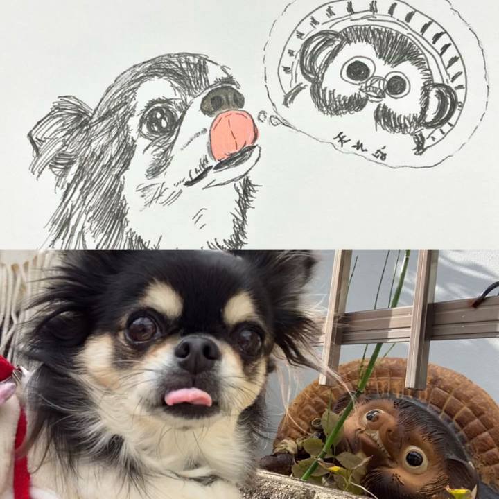 9a4afb47 20b8 40fb 9601 fab693bb2eee 1638584731852