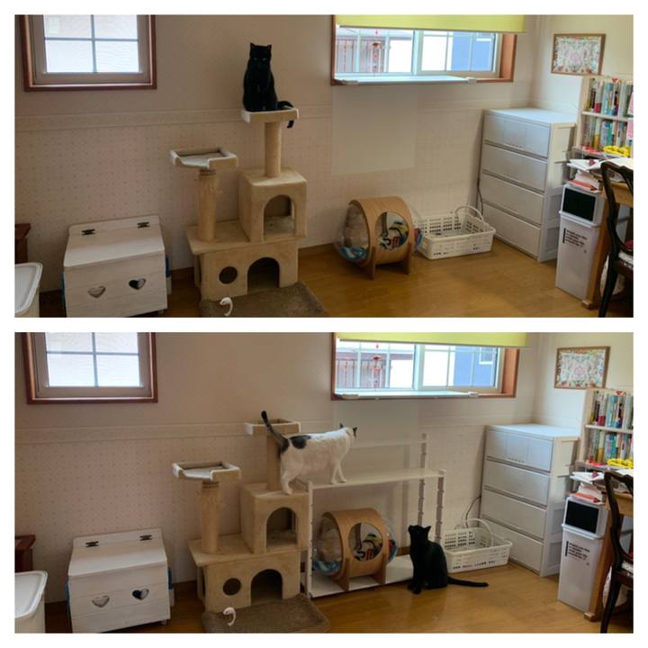 9a4b3e38 f54a 46bd 83c9 4f432aa0cba2 1652570420807