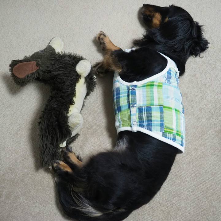 9a4b4f31 63ab 4a0e bb35 e20084fd8c09 1597209519221