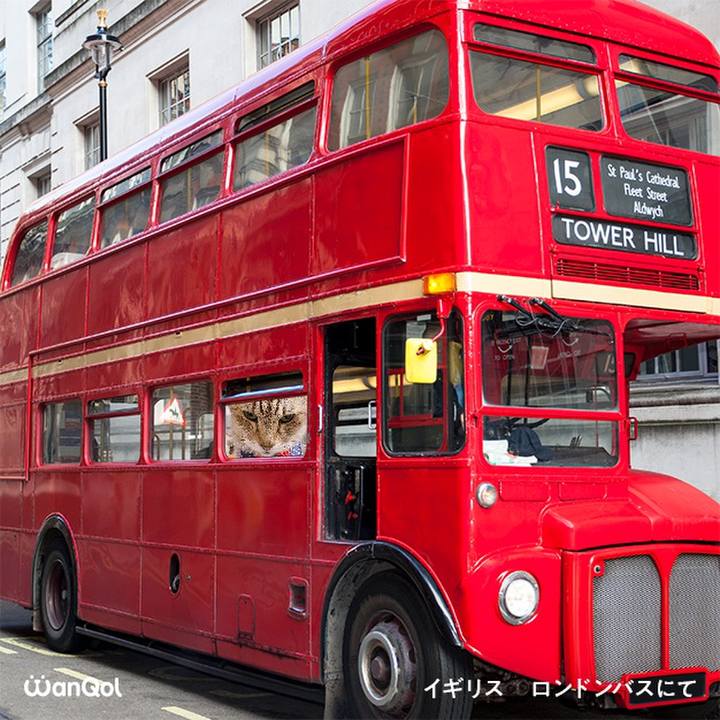 9a4b69e0 bb95 4732 b9f8 2bedd0b96473 1616212563975