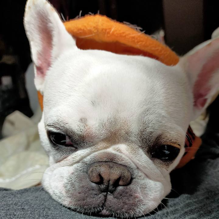 9a4b6c11 6aca 4933 9d51 aa3d92ca82a9 1666733778005