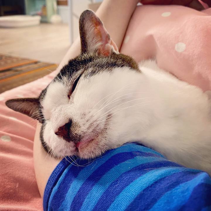 9a4b7ef3 4e5d 431b 9e1f 0592ee25d273 1591684772094