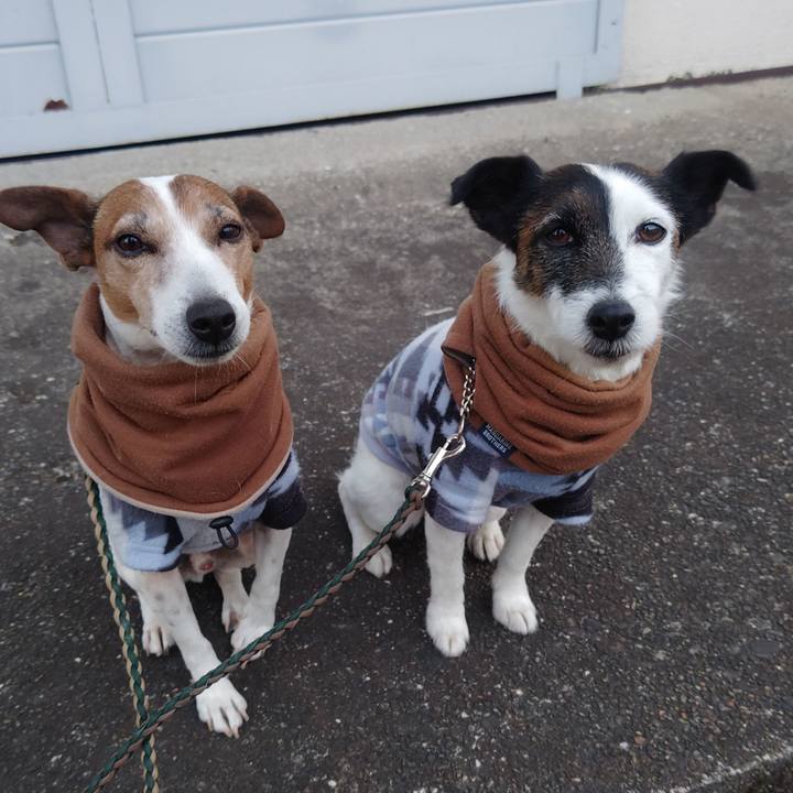 9a4b90d1 b5ea 4401 b14b 786b3d4ddb75 1769467293867