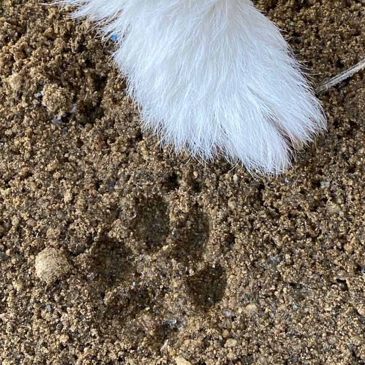 9a4bb6a6 a008 438c ab62 c72f3e373d17 1739143991243