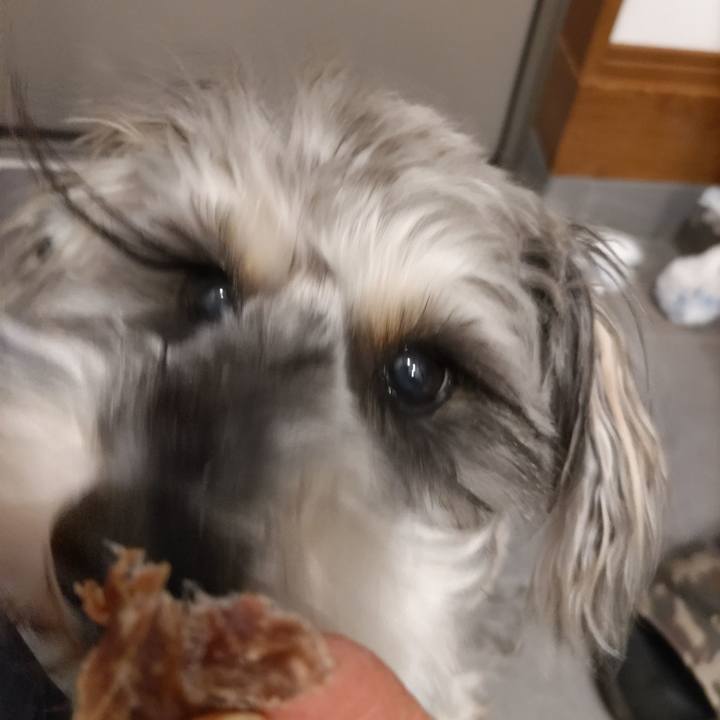 9a4bc800 a46b 4959 8995 caee00d69bd7 1705243358669