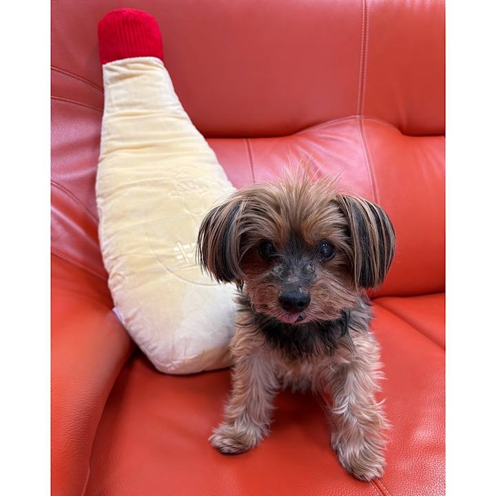 9a4bd16e 7a25 43fb 808f 6d1103facb3b 1740708529682