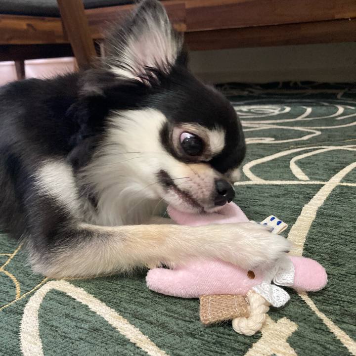 9a4bdc8c 3289 4db5 b684 c70202047dc6 1632063627199