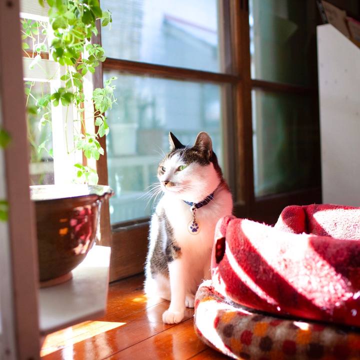 9a4bede9 bb98 43d6 a639 1404fe86dbee 1604031092443