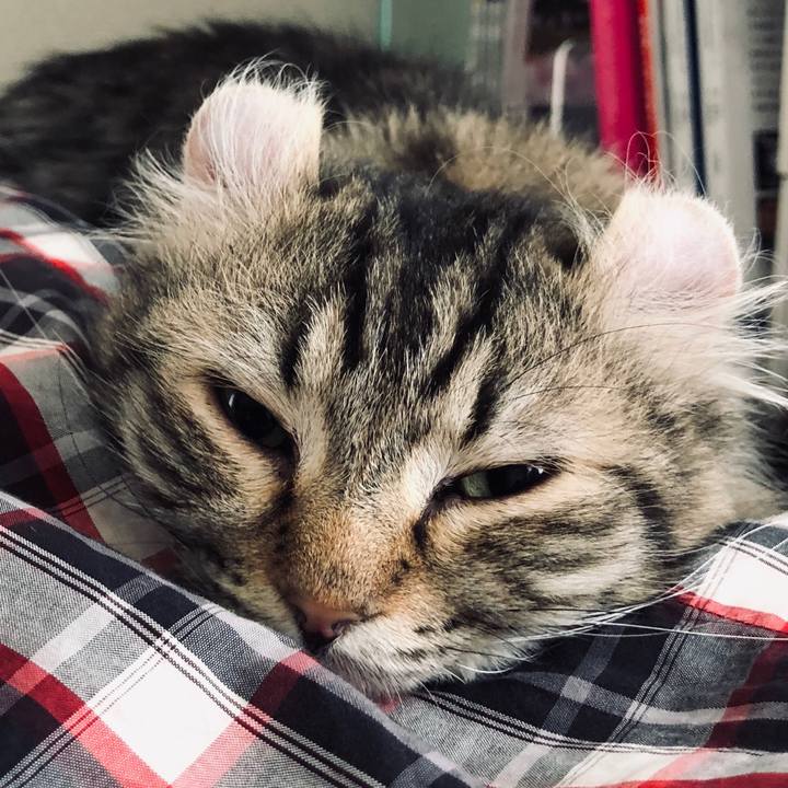 9a4bee3d 83cd 47d9 bd80 2cc162c26d5c 1556955229732