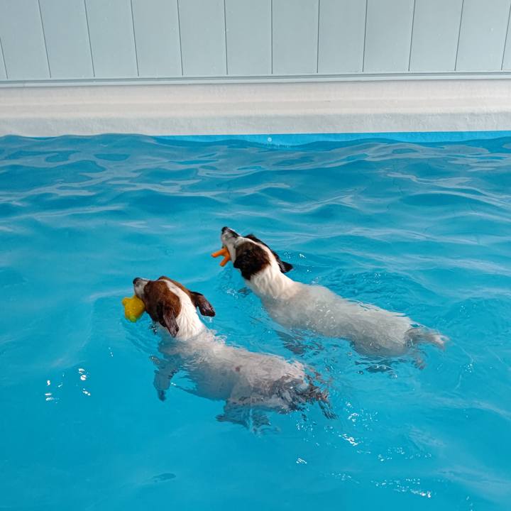 9a4c1e1d 3abf 495f 8ce6 9895059210a2 1624608836748