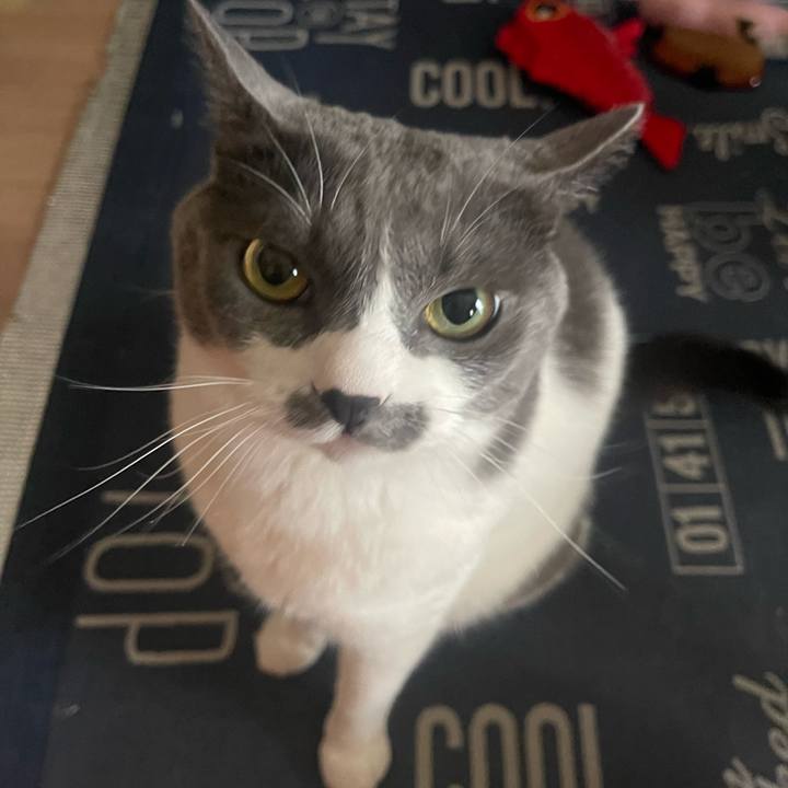 9a4c23ee 5e72 4155 88ee dae4e037c5fb 1720917779364