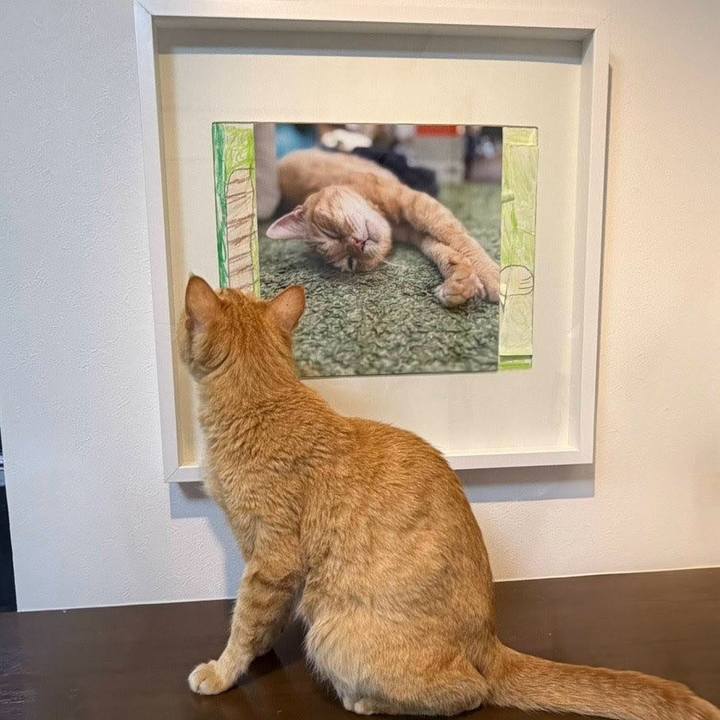 9a4c6c40 4903 48a2 b5d3 22afb660d0ab 1762115911378