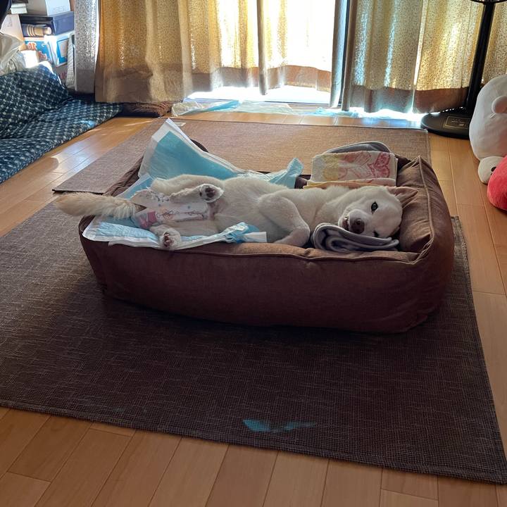 9a4c8334 c963 460f a25d e10f59146e61 1666288029429