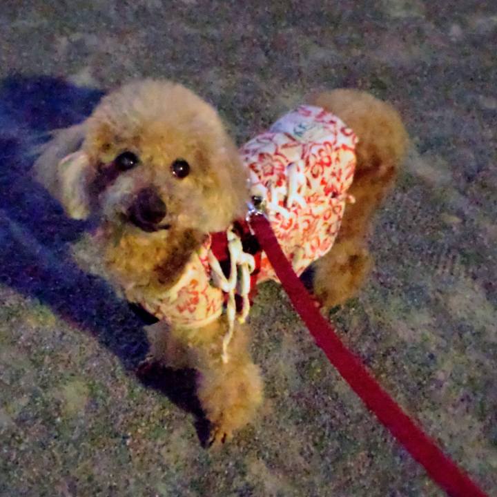 9a4cd8e8 a646 49bd b35a 73c3584f259d 1683027028991