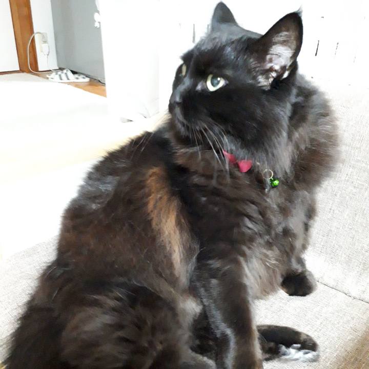 9a4ce6e0 653b 4956 85e0 f6f641280bae 1517169169319