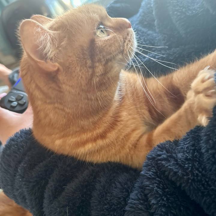 9a4d16c0 8347 4cb6 992d 66c8fa169e12 1704698004362