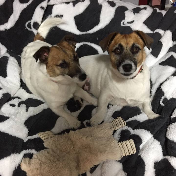 9a4d2ab7 c8b3 4919 8f7e 0a2fdc4f09b0 1546991012207