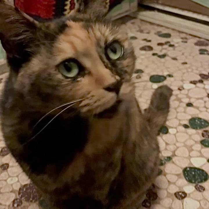 9a4d586e 6a80 4727 a752 62f8513f2652 1760741937859