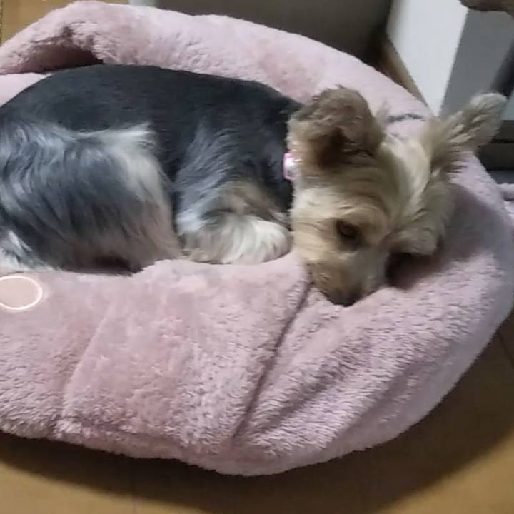 9a4d8d60 cc3c 429c a4af 67a04343b224 1565224599343