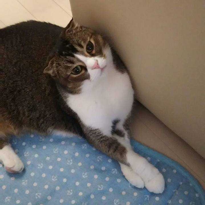 9a4dae28 6233 401d ab85 bdae4a3bdaea 1522452144510