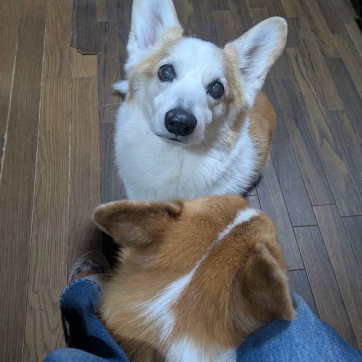 9a4dc268 e9c0 4787 ba18 e74089d3cd5b 1765719058526