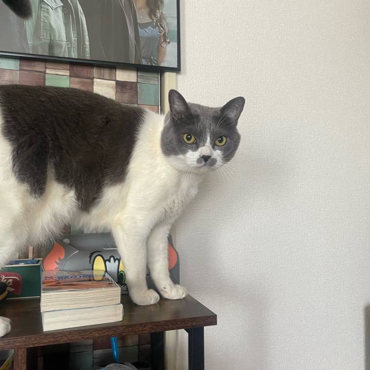 9a4dd24e 9575 4215 a752 19fed2693a98 1712965330012