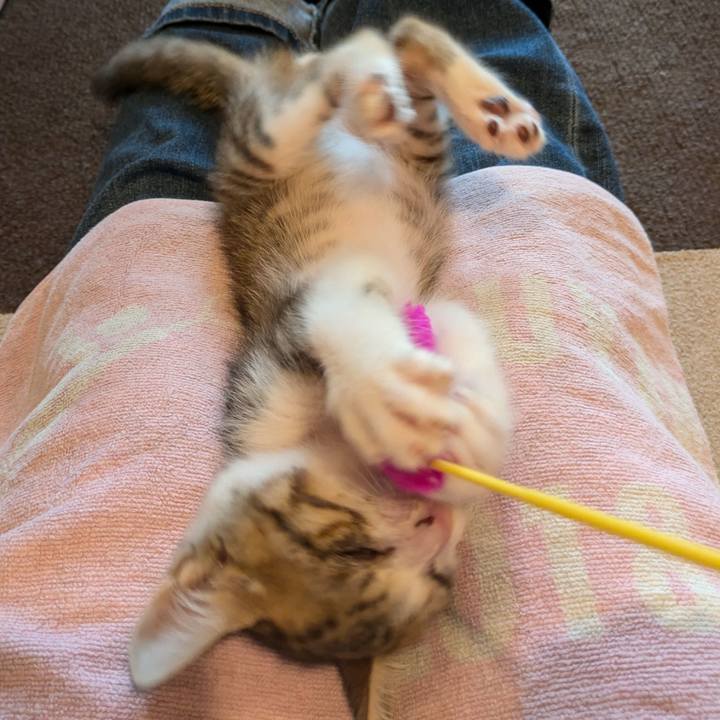 9a4dd641 8b68 4bdb 9f1f 9174f4515beb 1727160052505