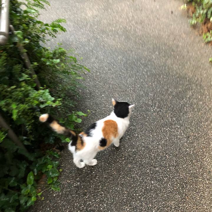 9a4e4544 4a71 46d0 87ae dea024548905 1600380726020