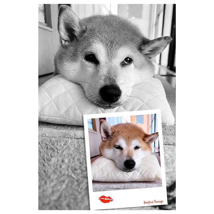 9a4e6927 4dc3 4cab abbd 3131a2aa7d9b 1687923766804