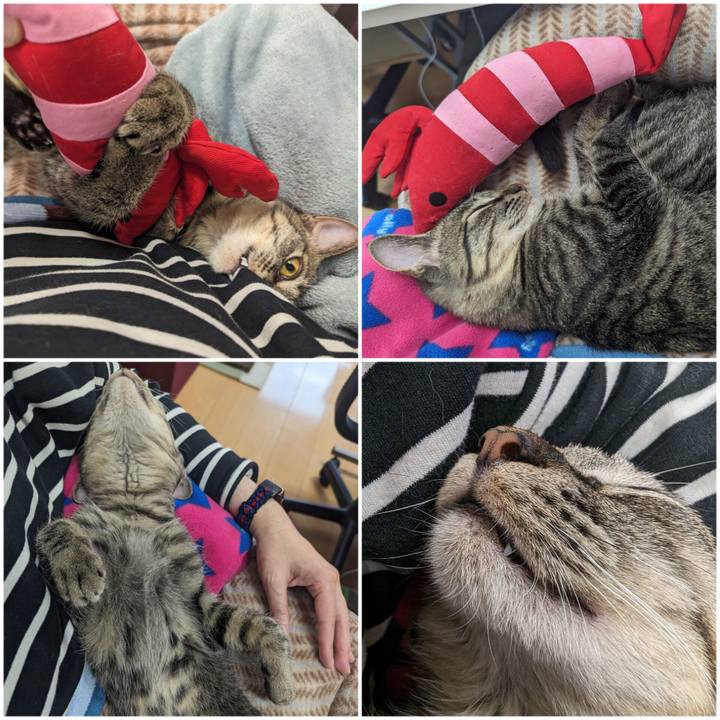 9a4e73e9 62ee 4a29 9af9 6e6bdc7aad3b 1710996907495