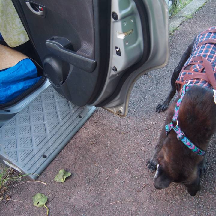 9a4e8ba4 f380 42c5 91fb 73847db22ddc 1510322023223