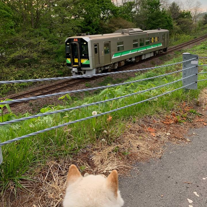 9a4ea328 dda1 4d14 af84 03d609853e89 1621819070167