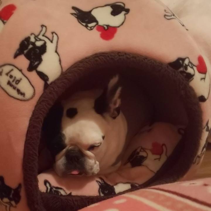 9a4ea5b6 aec8 421a ba20 b98959768451 1649595215904