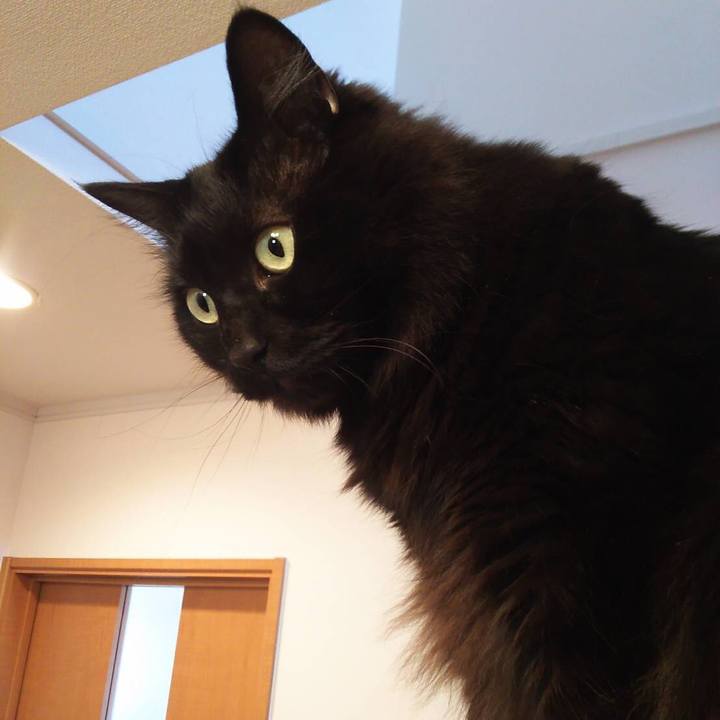 9a4efac3 0675 4ee2 be4d 9d808b949ab2 1527835721041