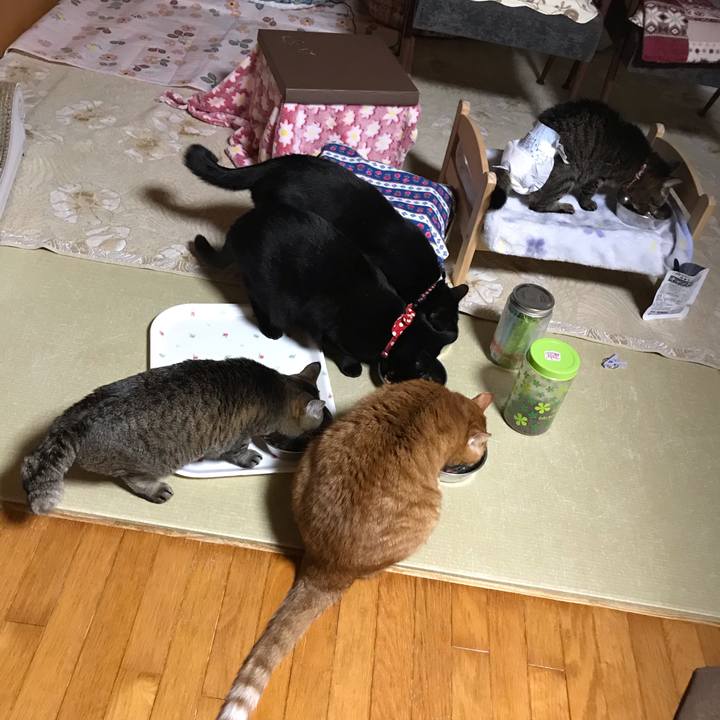 9a4f736b a24a 42b1 adec bbbbfe0a5be2 1545570654076