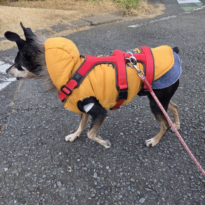 9a4f74b8 6371 43d6 9f67 f365c7d85181 1769303618387