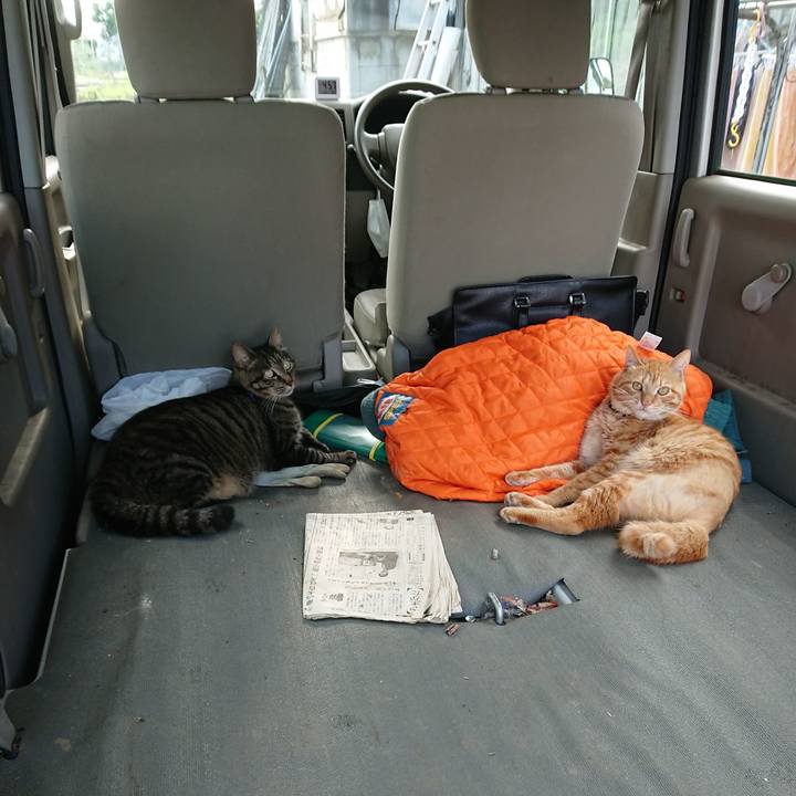 9a4fbf35 ca43 4122 b1b0 b3dbe1144ba7 1658563899040