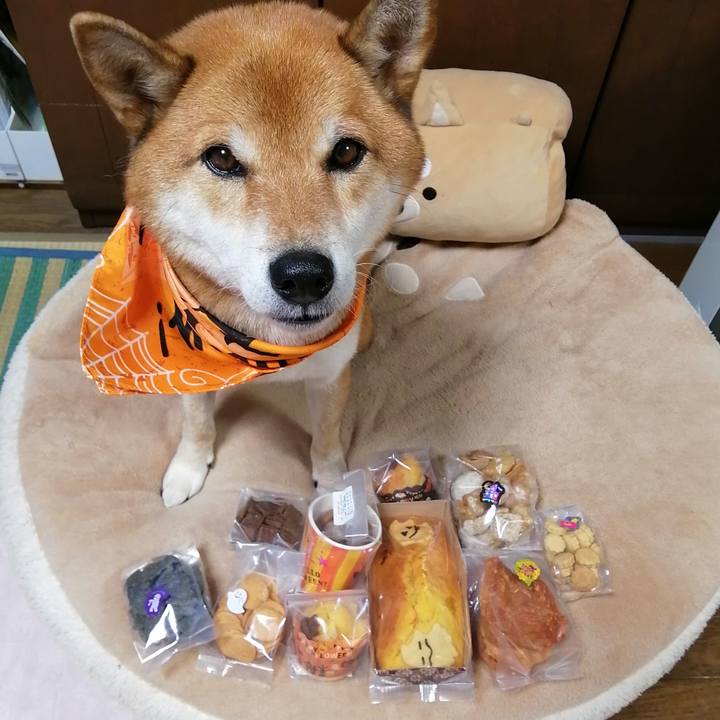 9a4fc3f3 ab63 405f 9315 054d5e6493b1 1603620340927