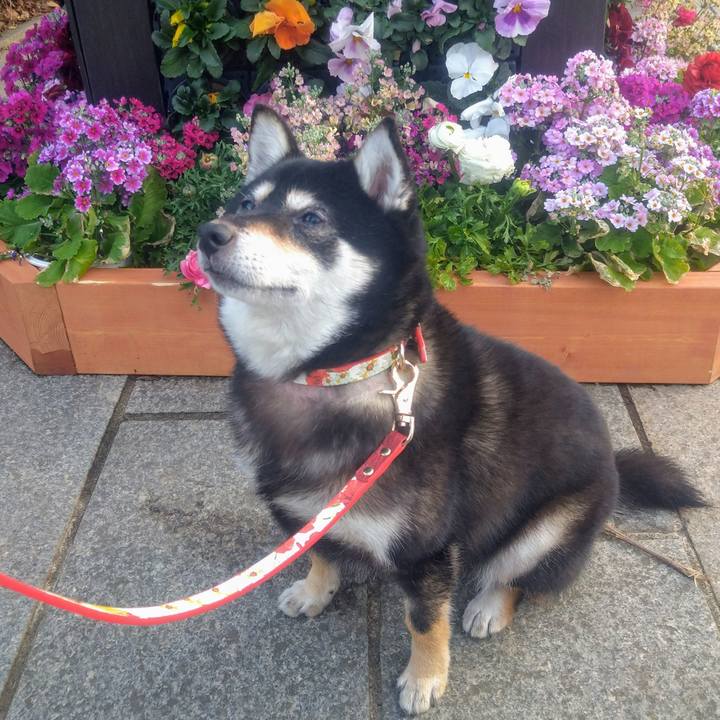 9a4fd485 59c3 4e11 b7ff 1ac57cf35ba2 1614660030988