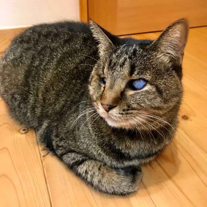 9a4fe269 edcc 4bcb b084 99d707077946 1571484127060