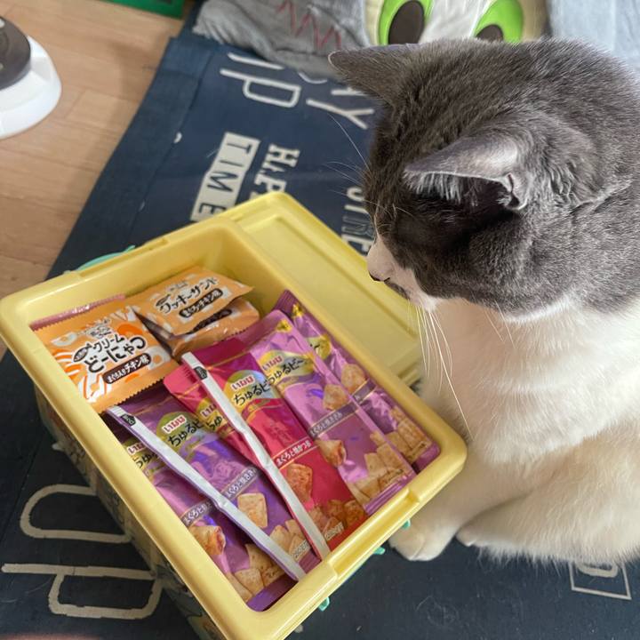 9a4fe9a0 8833 4c26 9494 132608b07299 1745807307703