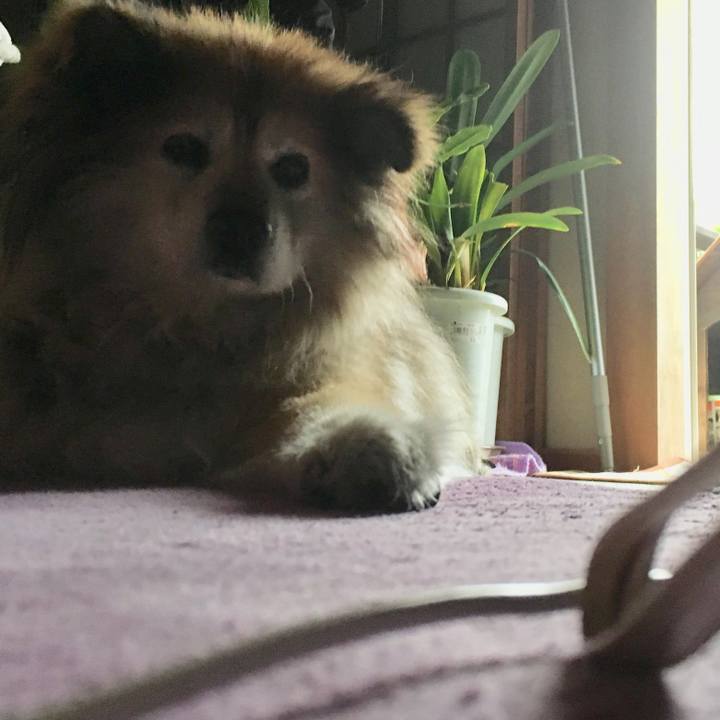 9a500113 ed45 4b69 8205 1d16ef94389f 1606592660333