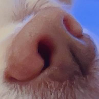 9a503d86 2201 4a95 bc0e c02acf1814dc 1762599779786